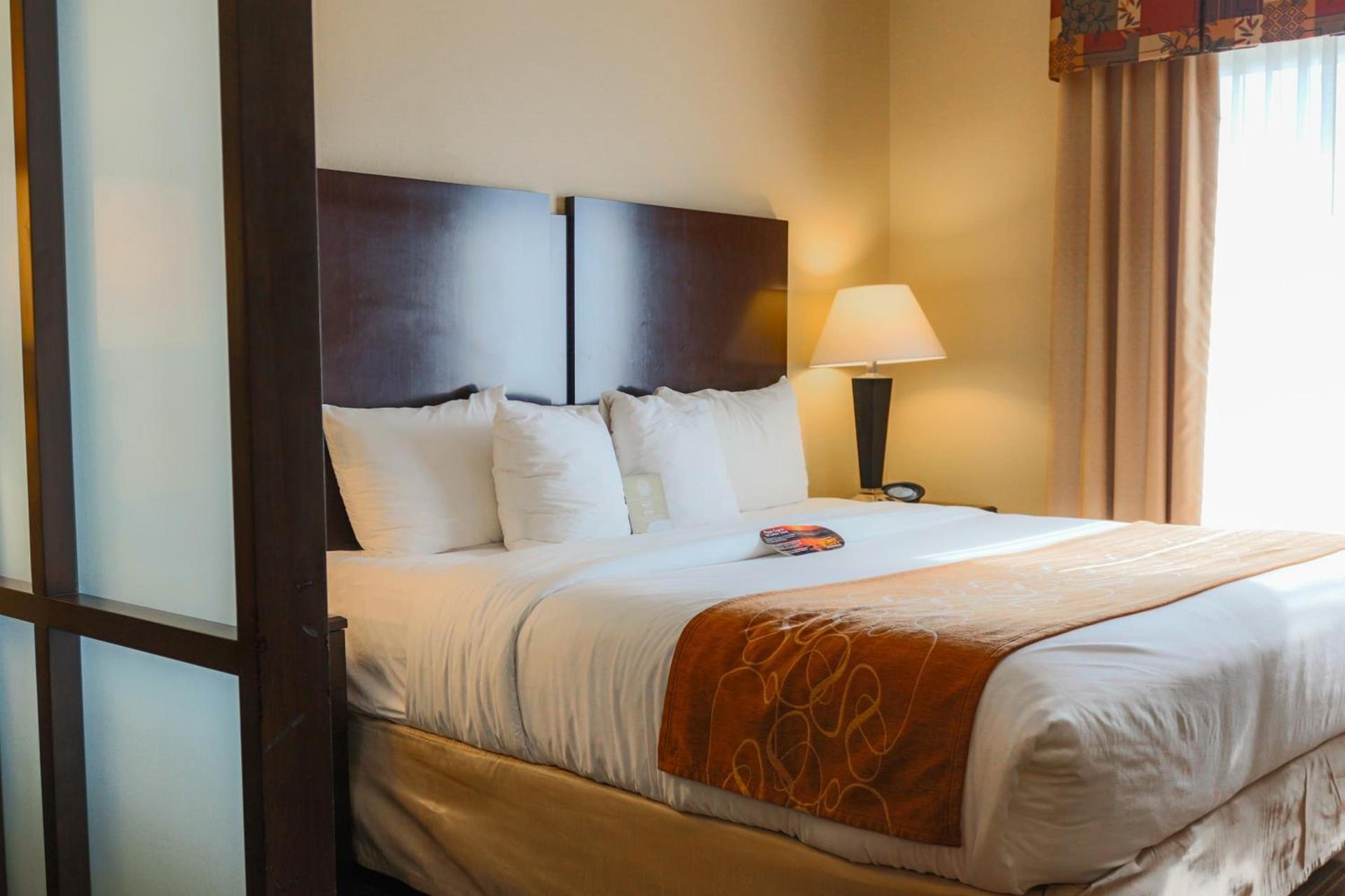Comfort Suites Charleston West Ashley photo 3