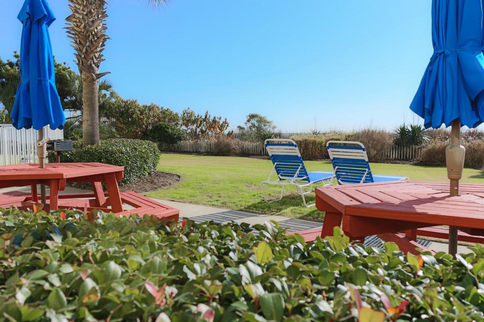 Jade Tree Cove photo 63