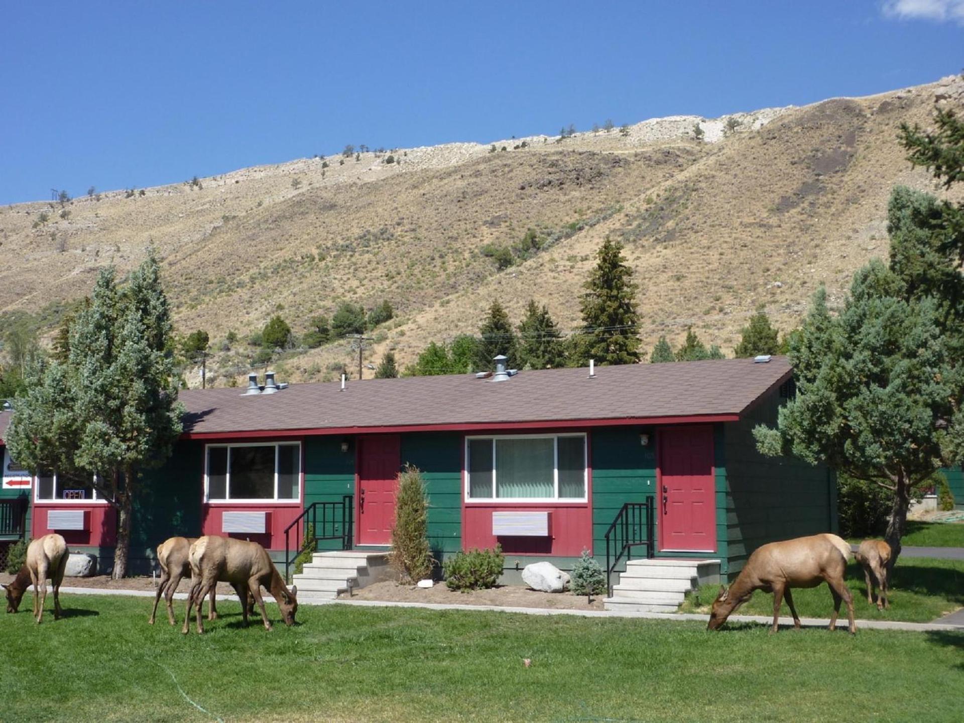 Yellowstone Gateway Inn photo 75