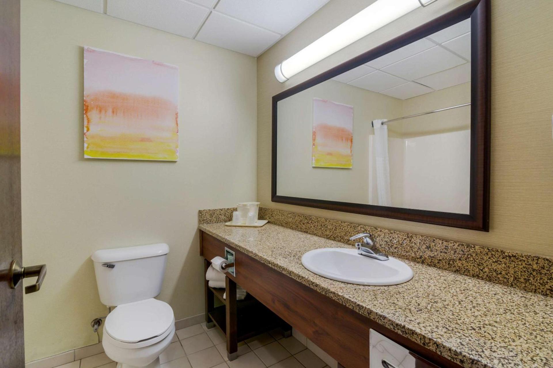 Comfort Inn Bismarck photo 22