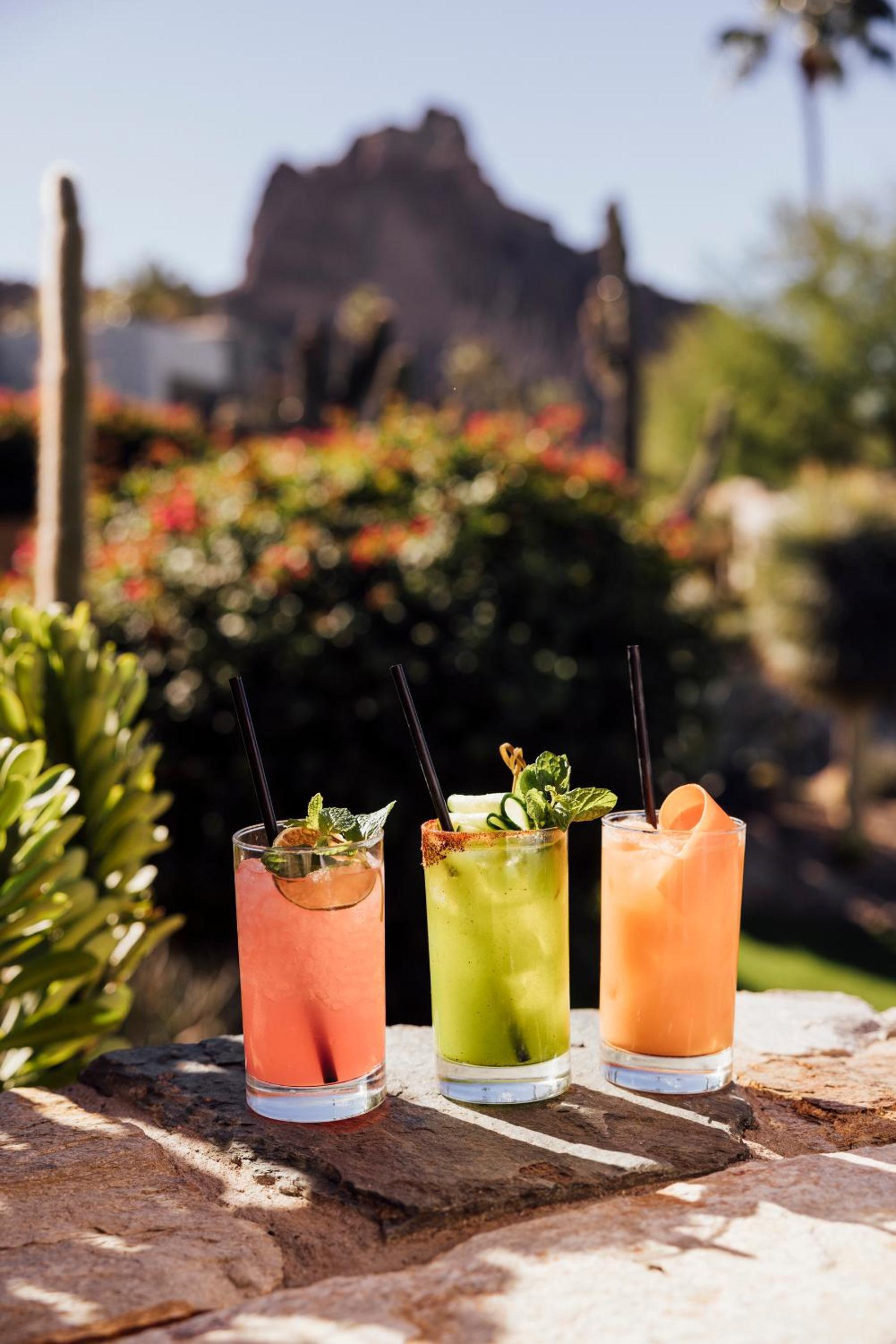 Sanctuary Camelback Mountain Resort and Spa photo 50