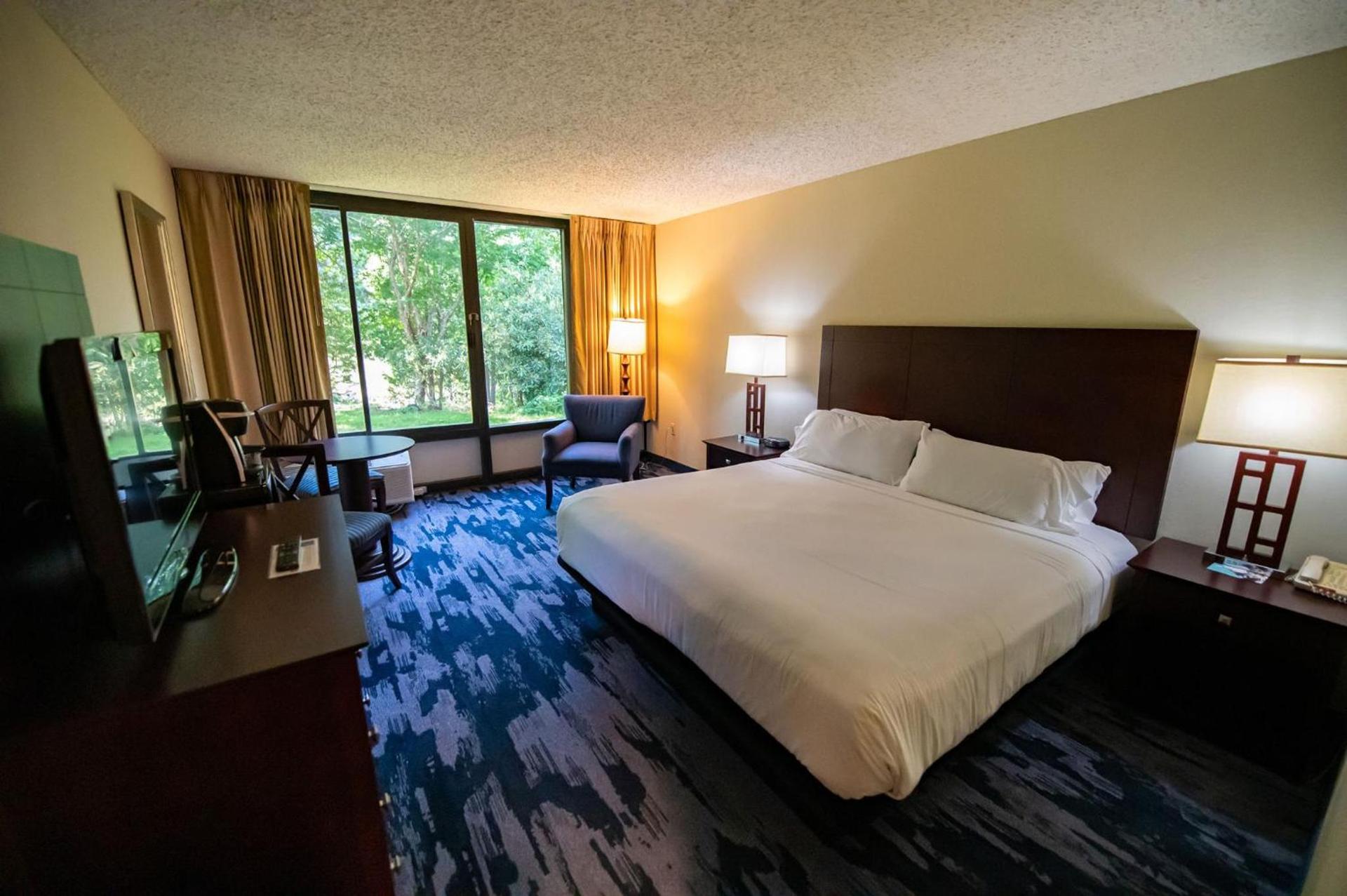 Holiday Inn Bar Harbor Regency Hotel by IHG photo 90