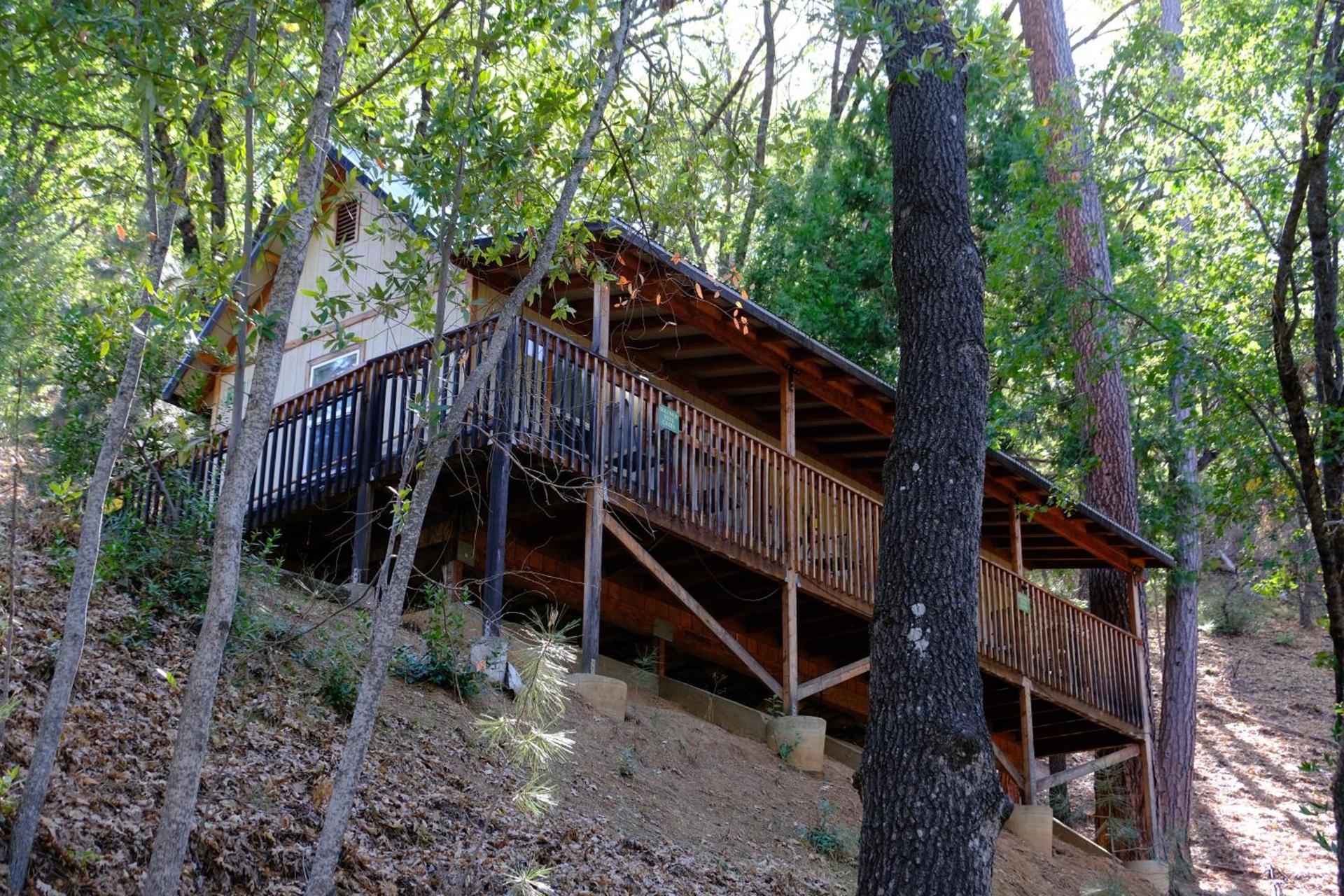 Yosemite Bug Rustic Mountain Resort photo 88