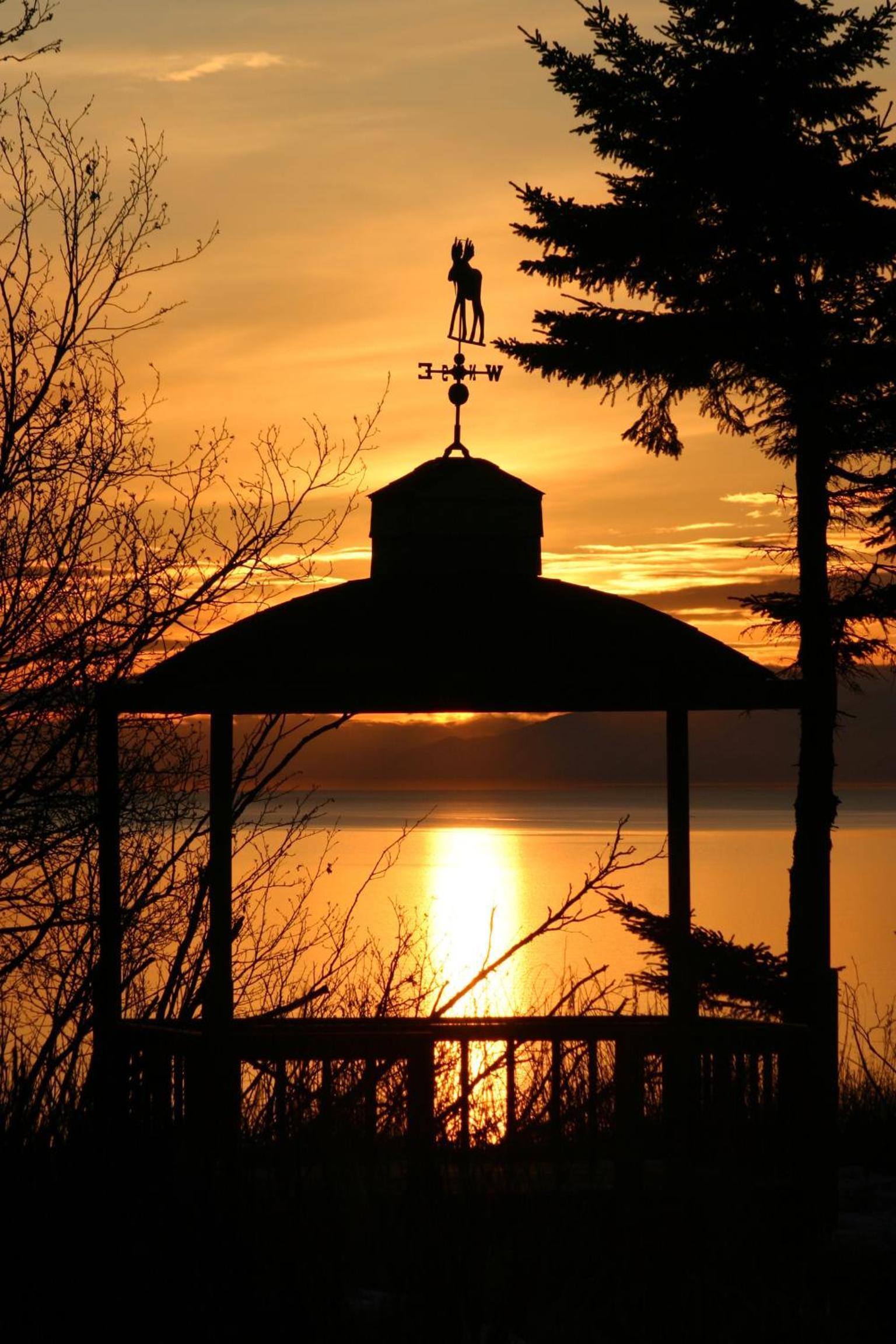Clam Gulch Lodge photo 31