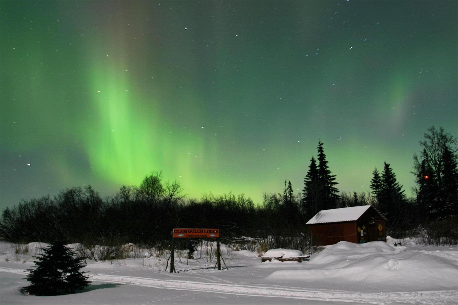 Clam Gulch Lodge photo 29