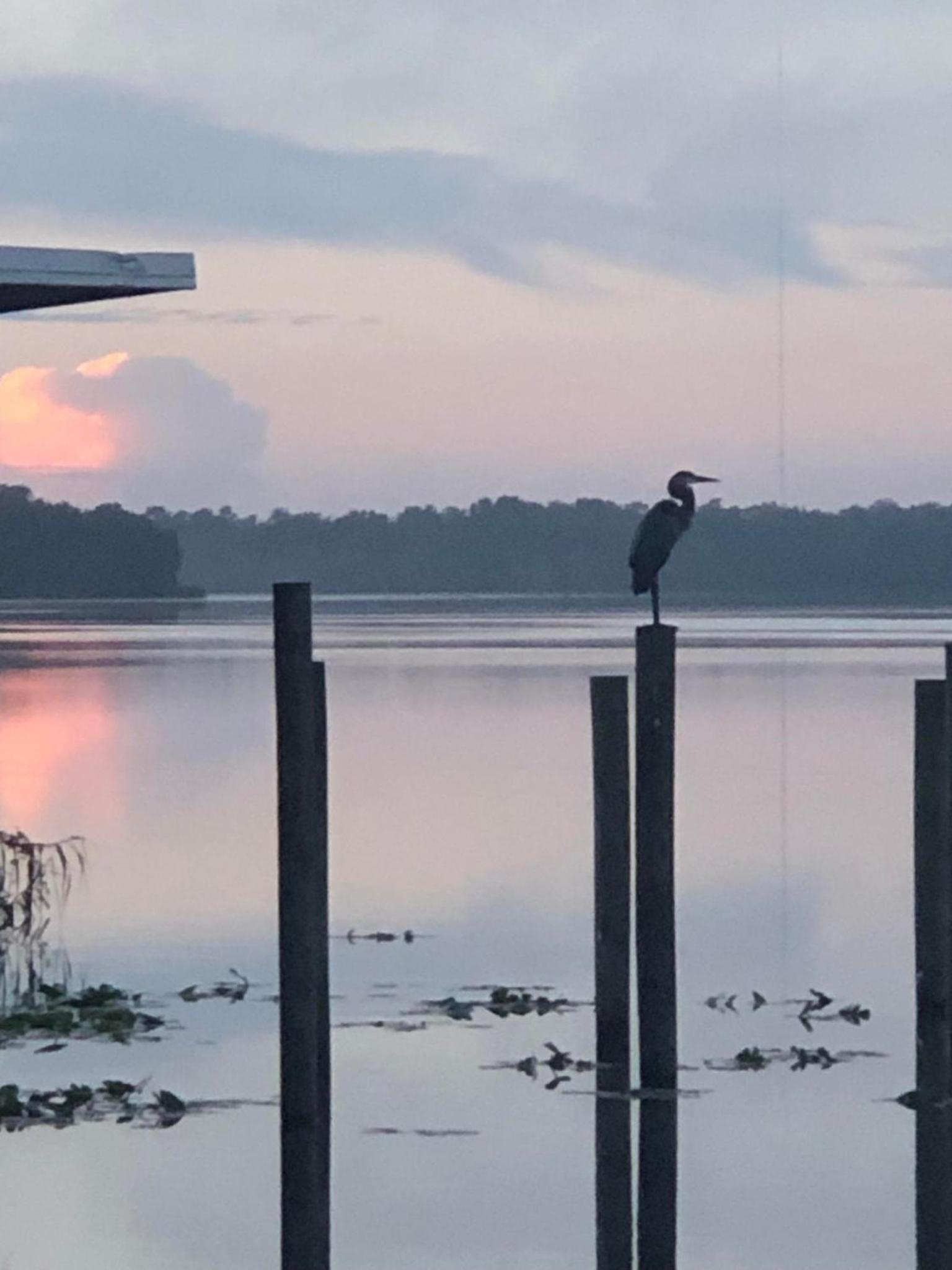 Tropical Marina & Resort on Lake Beresford photo 2