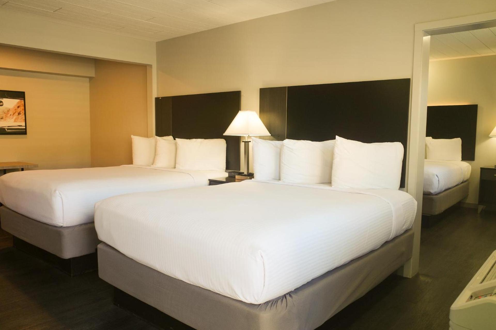Americana Modern Hotel photo 6