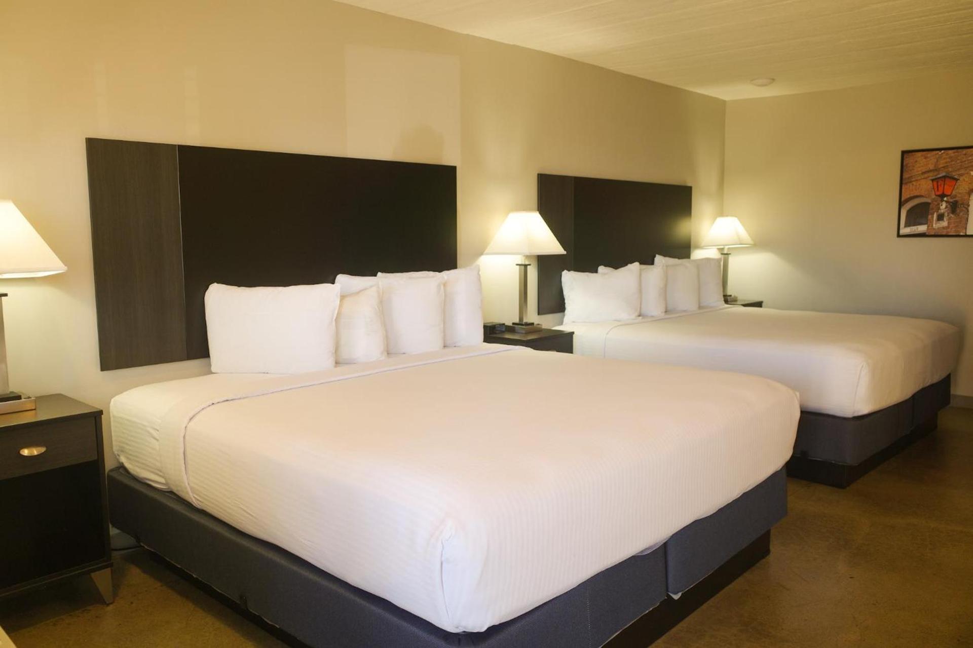 Americana Modern Hotel photo 5