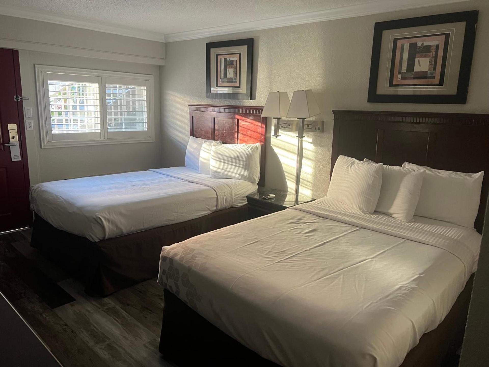 Dream Inn photo 41