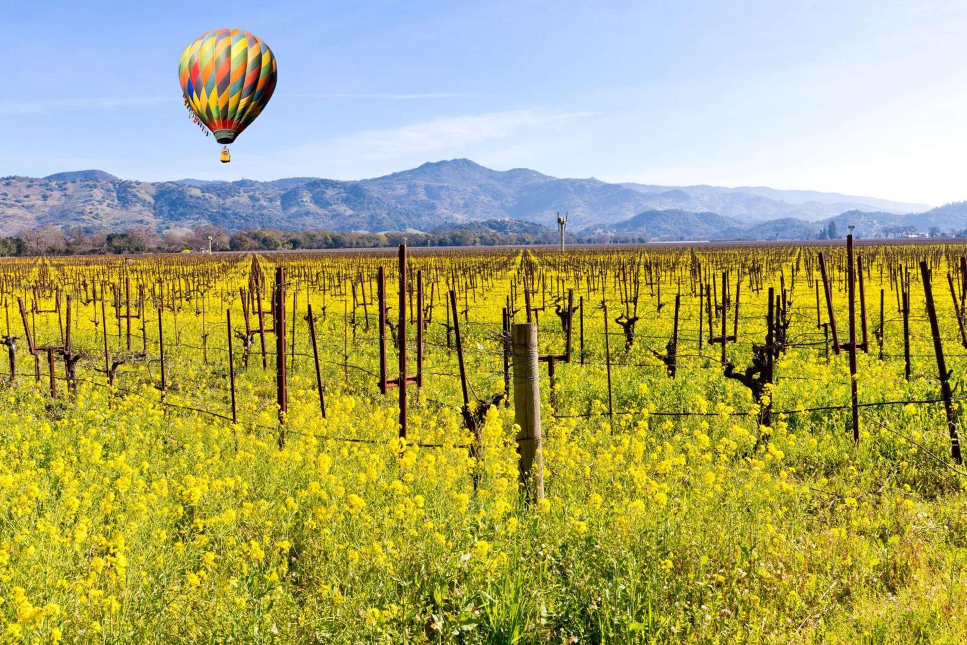 Grand Reserve at The Meritage photo 31