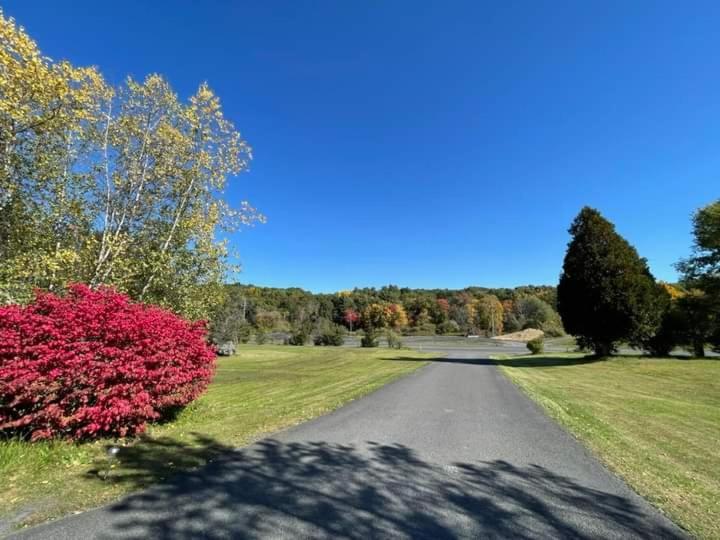 Elm Tree Motel photo 4