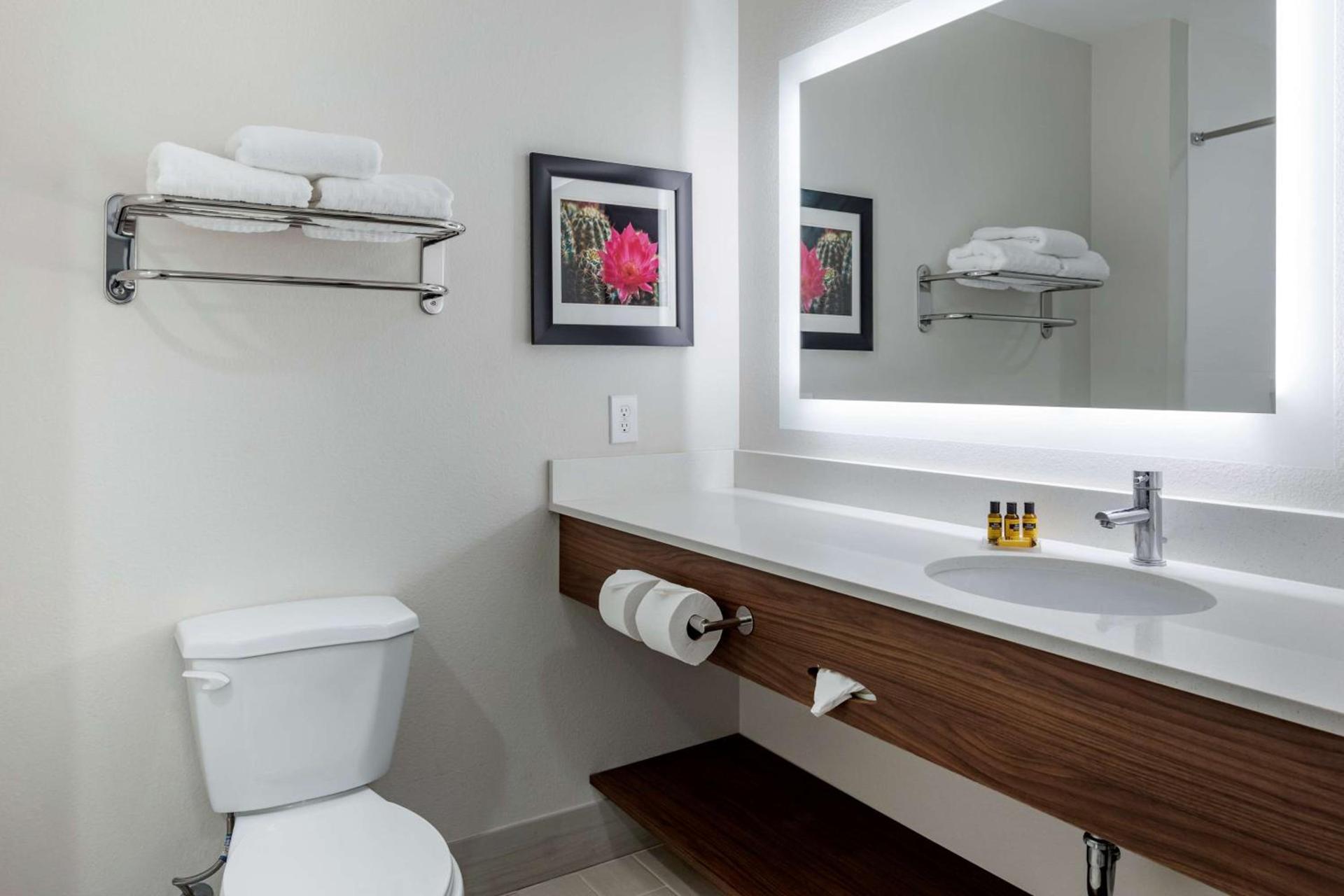 Best Western Plus Coachella Valley Inn & Suites photo 27