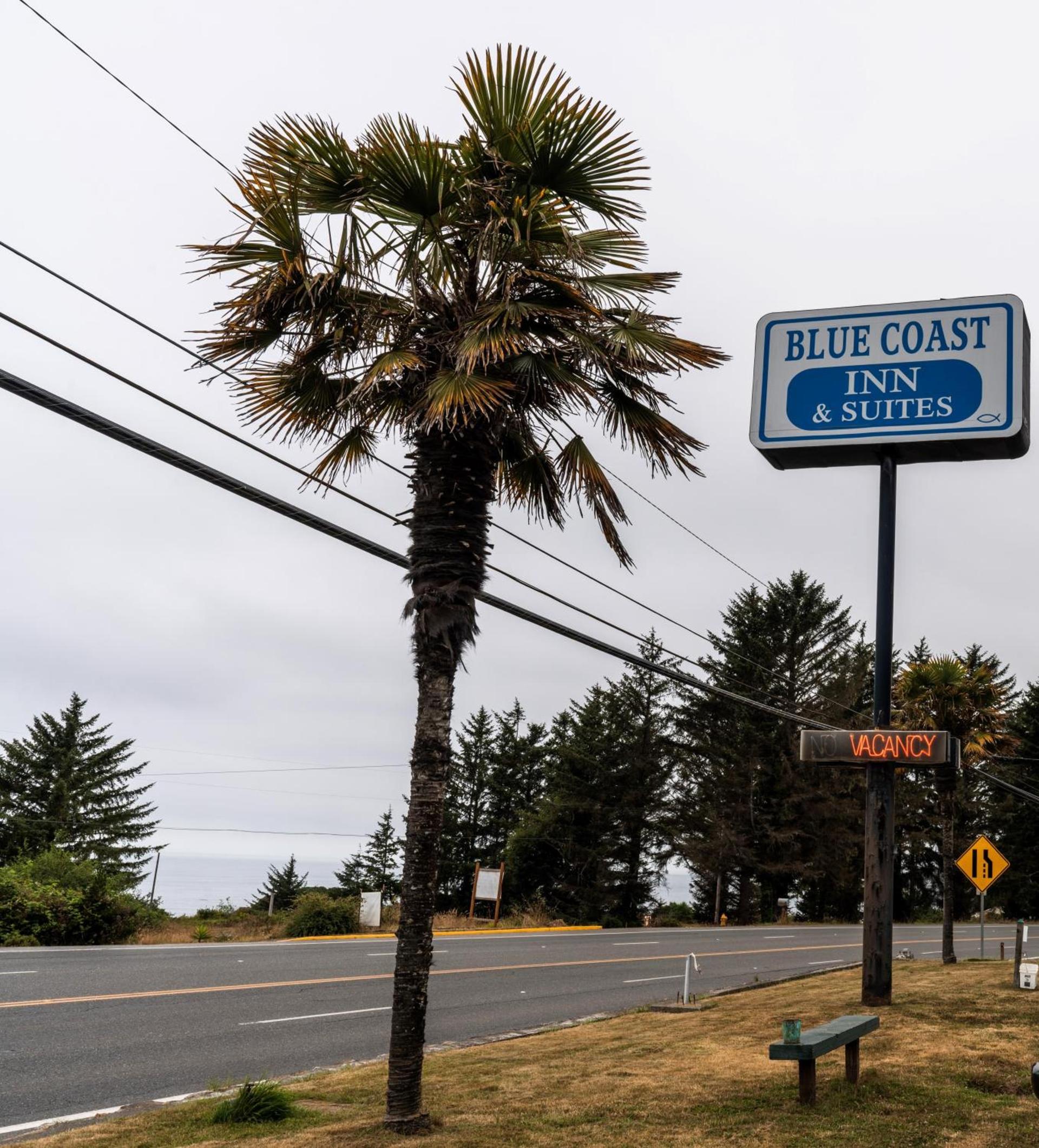 Blue Coast Inn & Suites photo 48