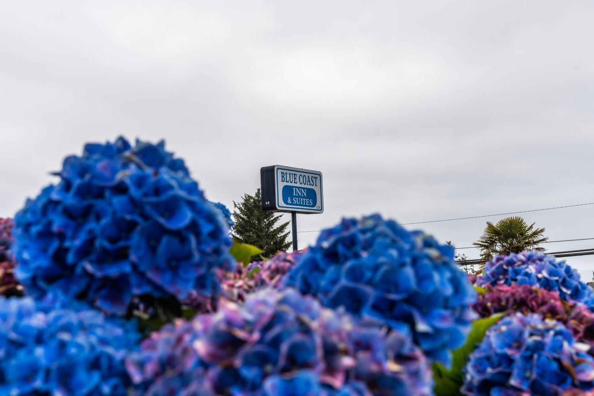 Blue Coast Inn & Suites photo 49