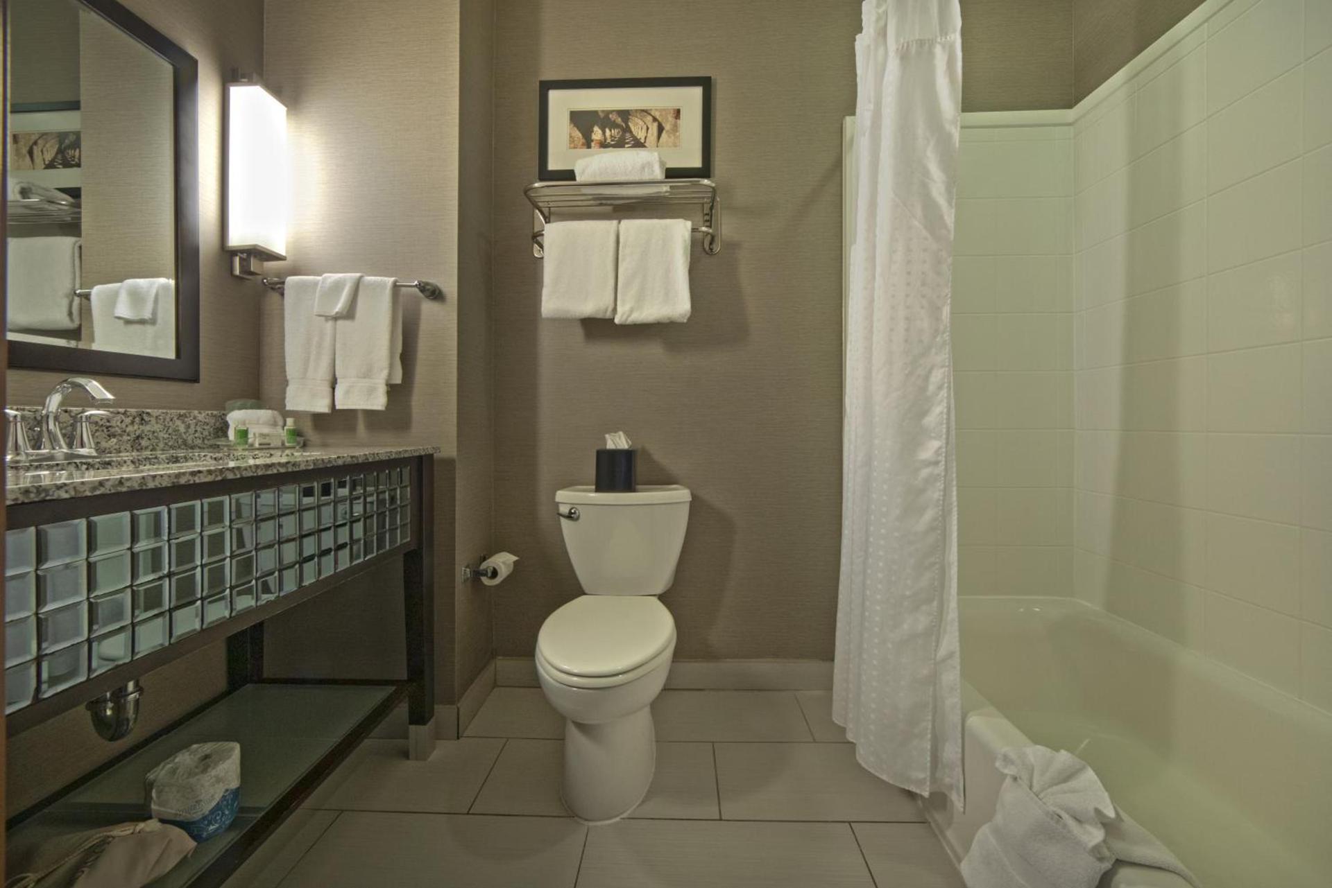 Holiday Inn & Suites San Antonio Northwest by IHG photo 20