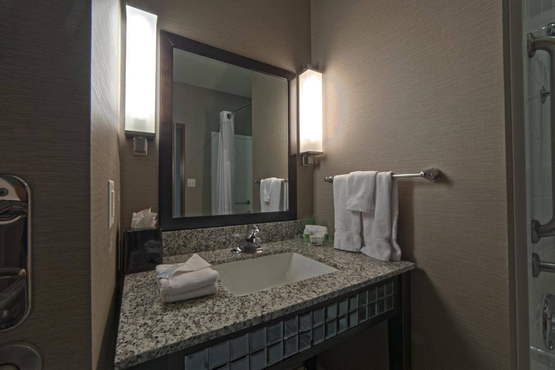 Holiday Inn & Suites San Antonio Northwest by IHG photo 21