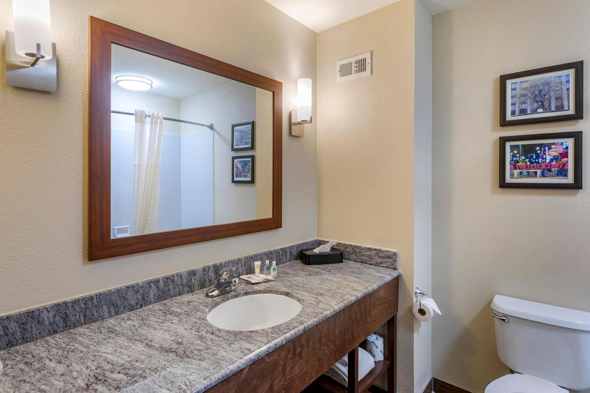 Comfort Inn & Suites Atoka-Millington photo 40