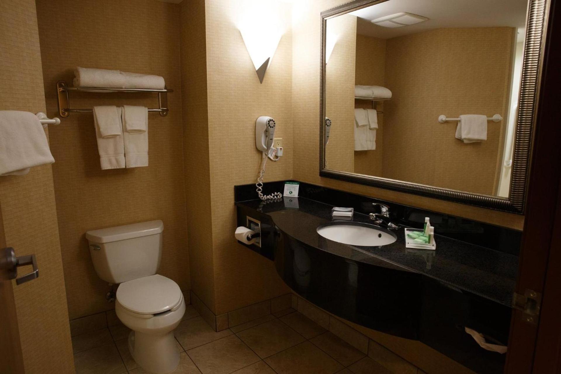 Holiday Inn Battle Creek by IHG photo 20