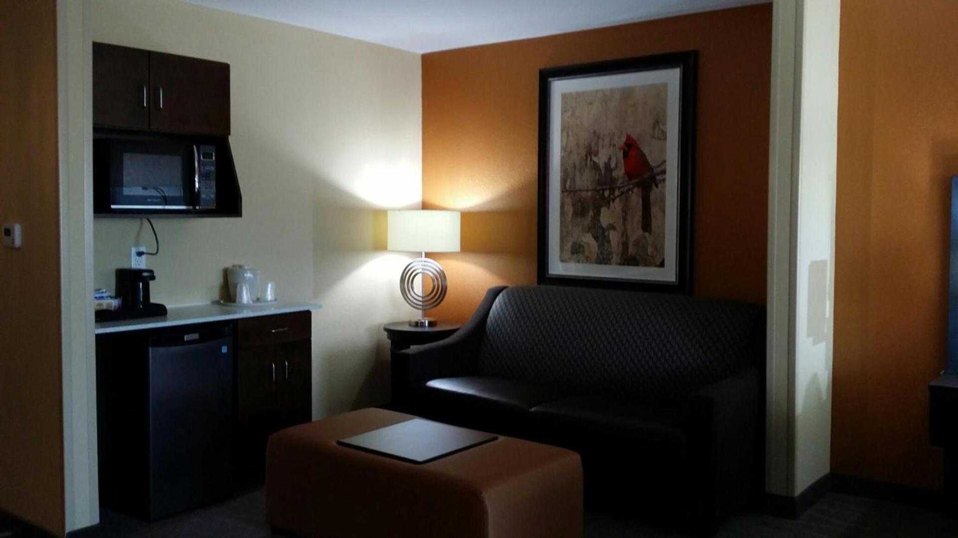 Holiday Inn Express & Suites St Louis Airport by IHG photo 6