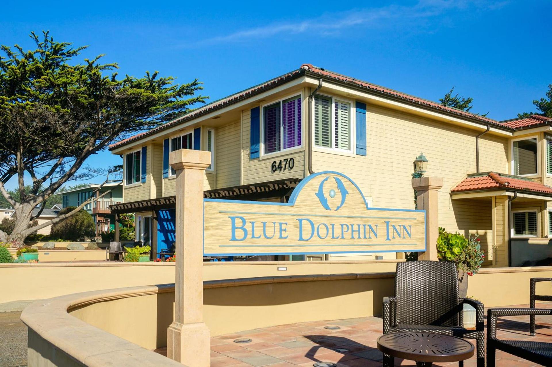 Blue Dolphin Inn photo 10