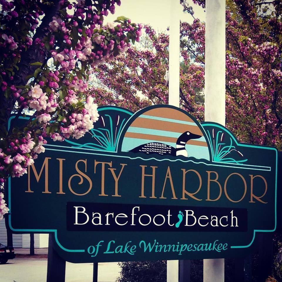 Misty Harbor Resort photo 3