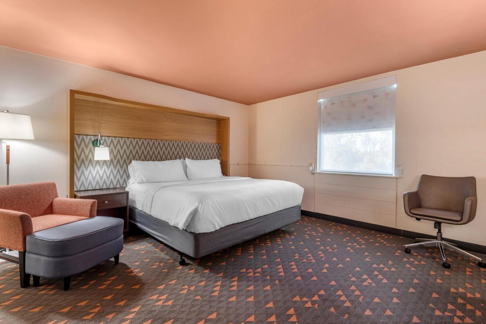 Holiday Inn Bangor by IHG photo 65