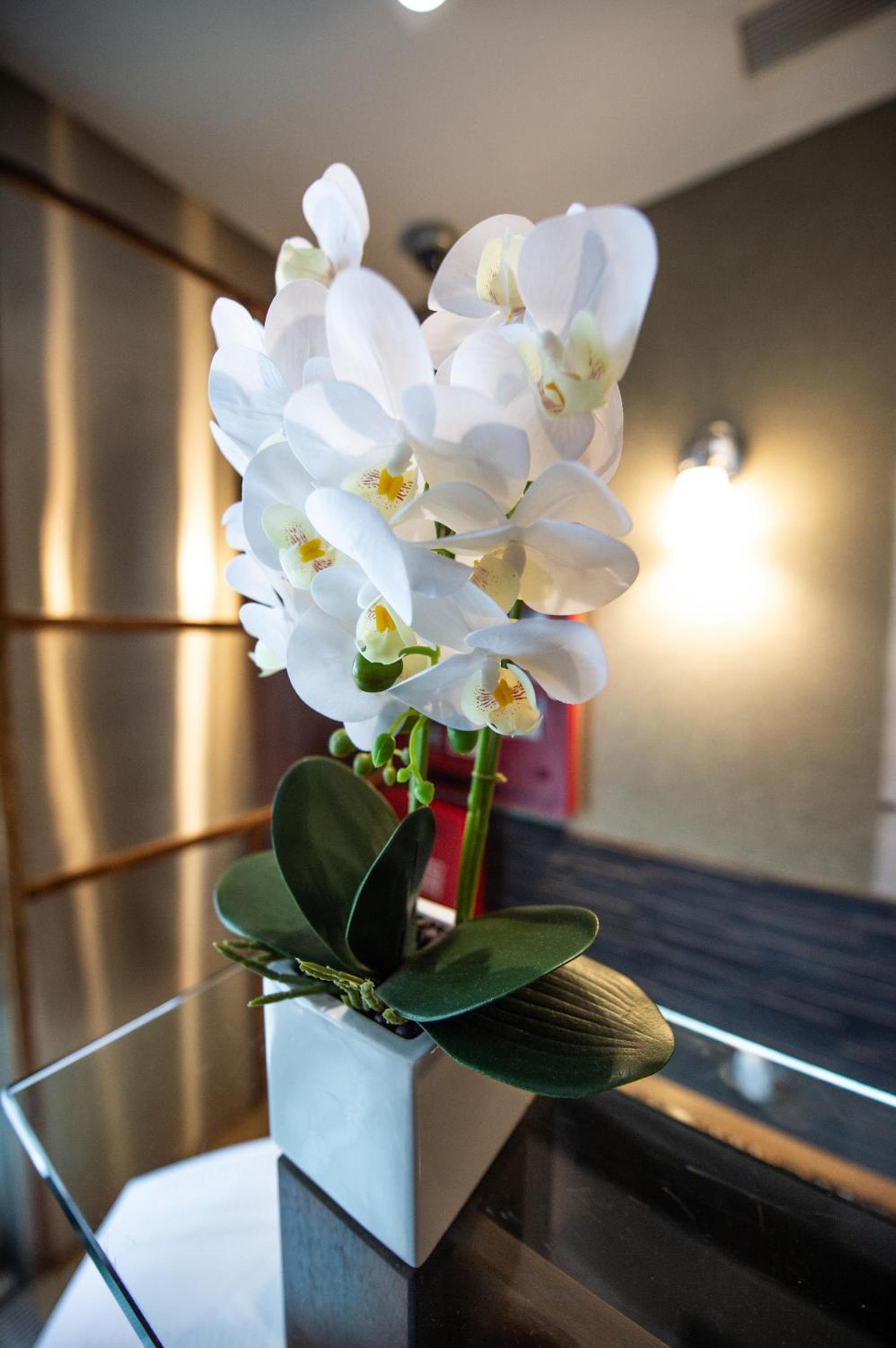 Solita Soho Hotel photo 28