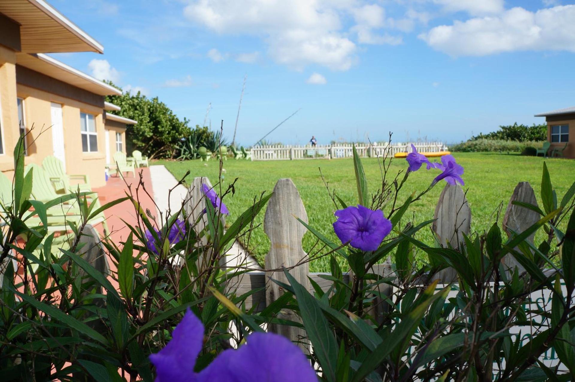 Ocean Front Paradise Resort photo 2