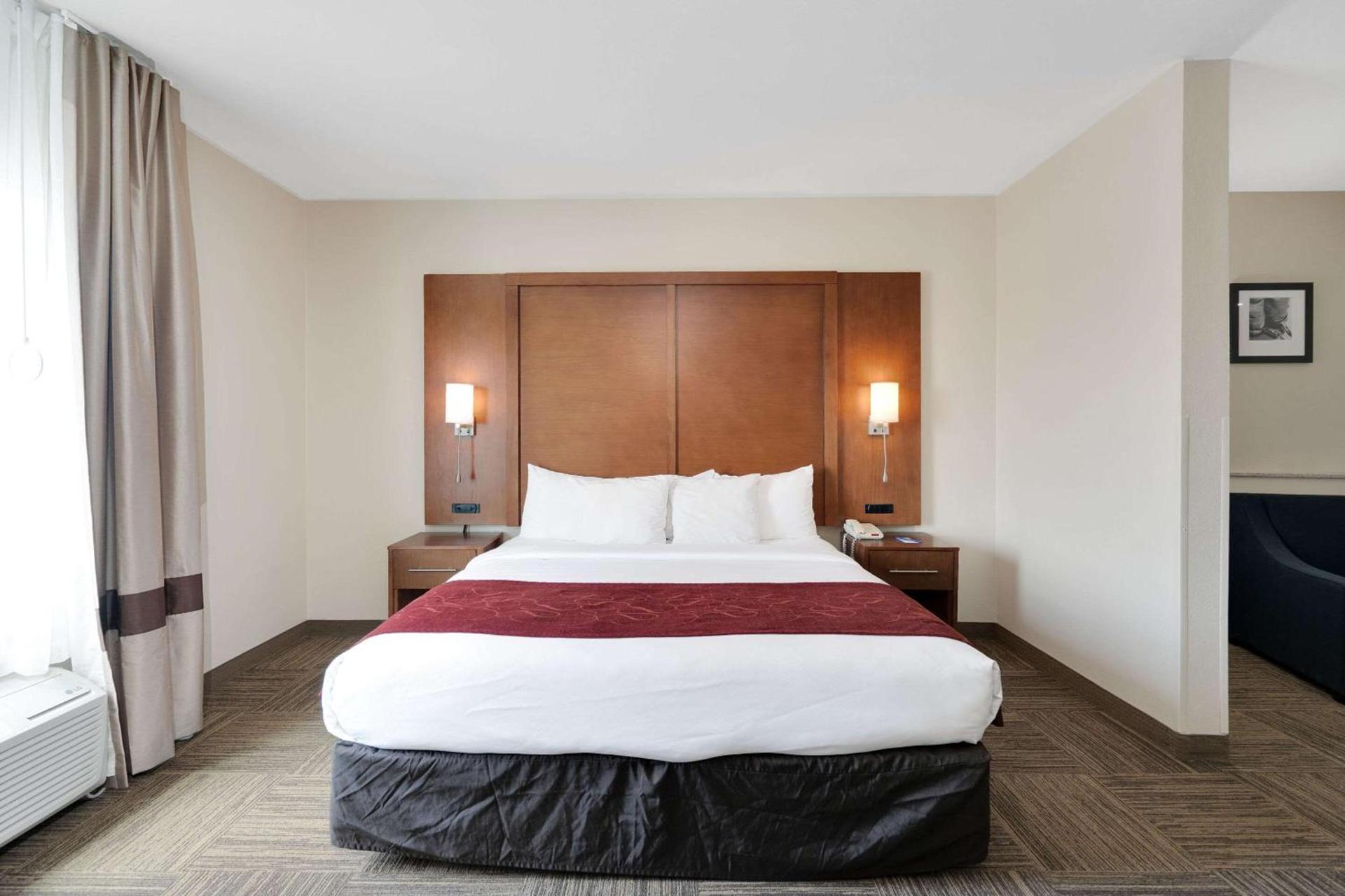 Comfort Suites University photo 9
