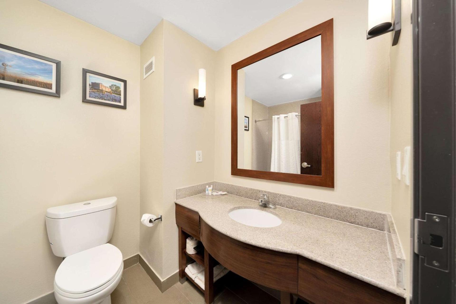 Comfort Suites University photo 23