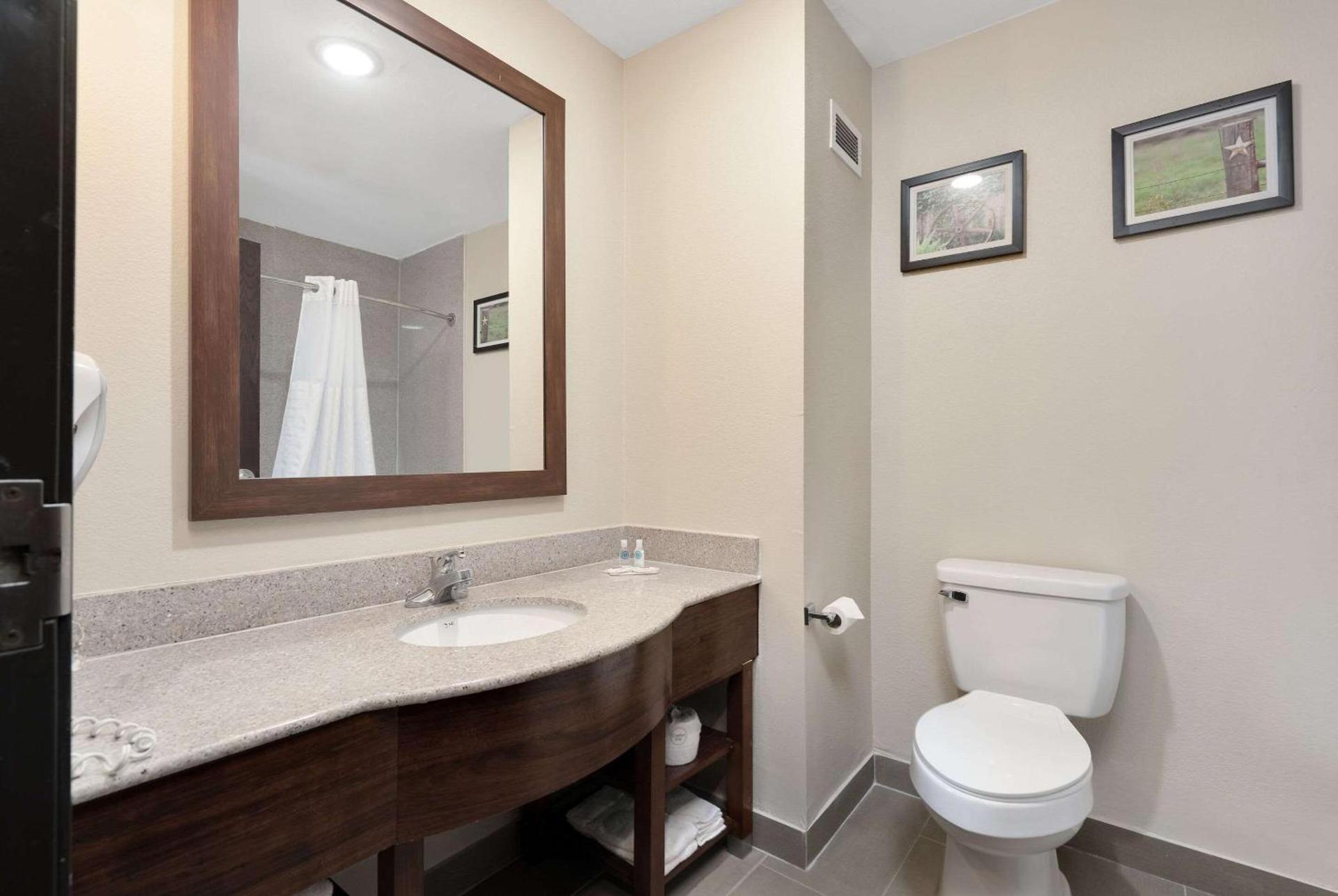 Comfort Suites University photo 28