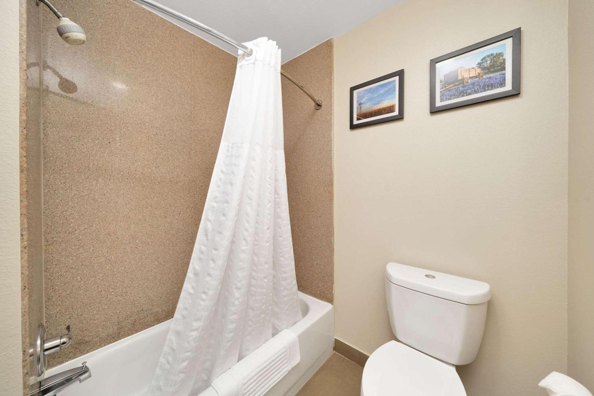 Comfort Suites University photo 27