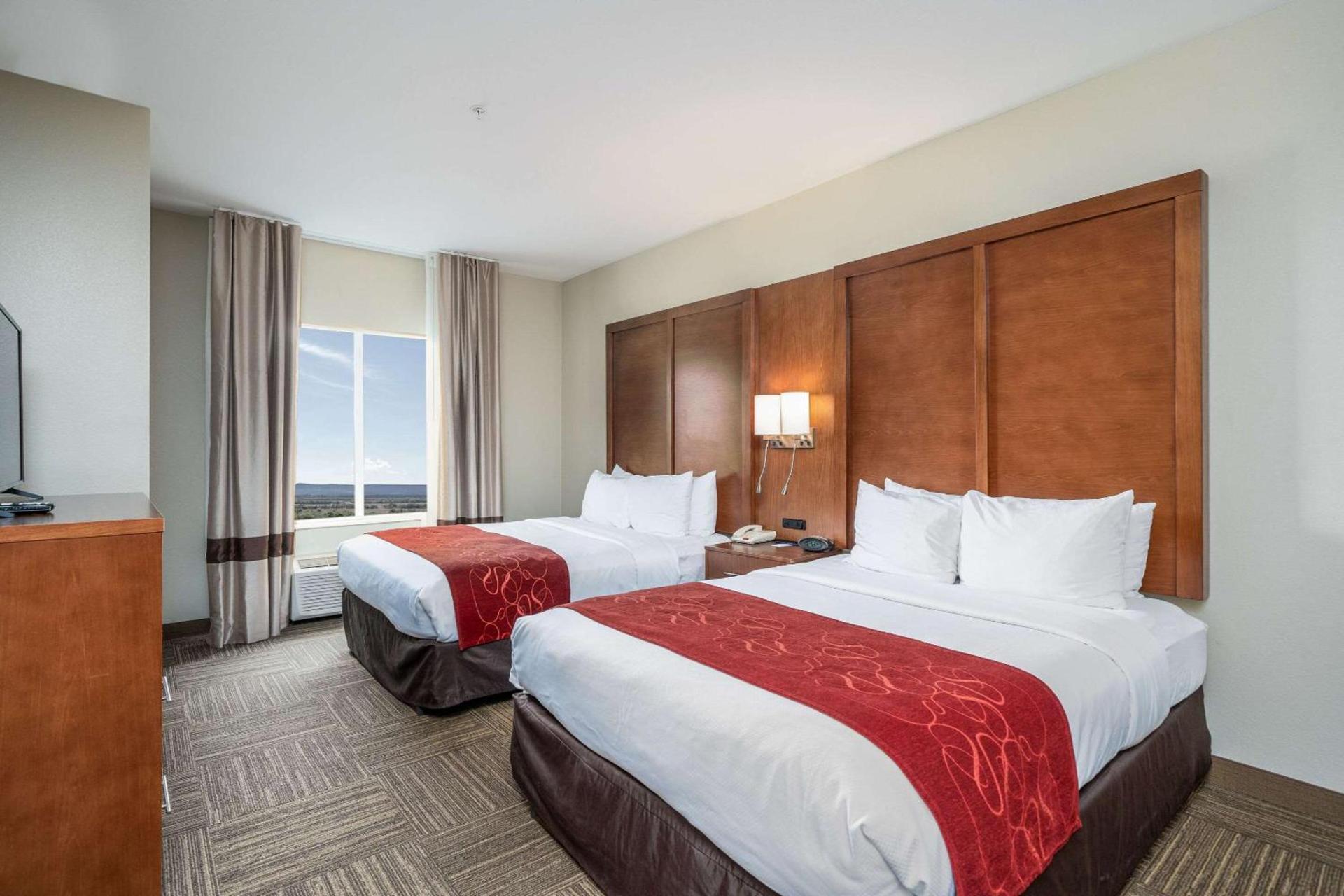 Comfort Suites University photo 29