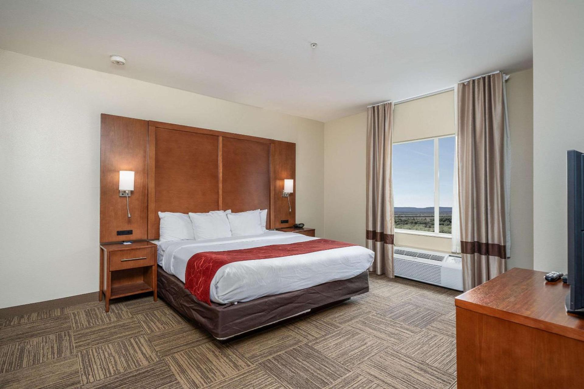 Comfort Suites University photo 31