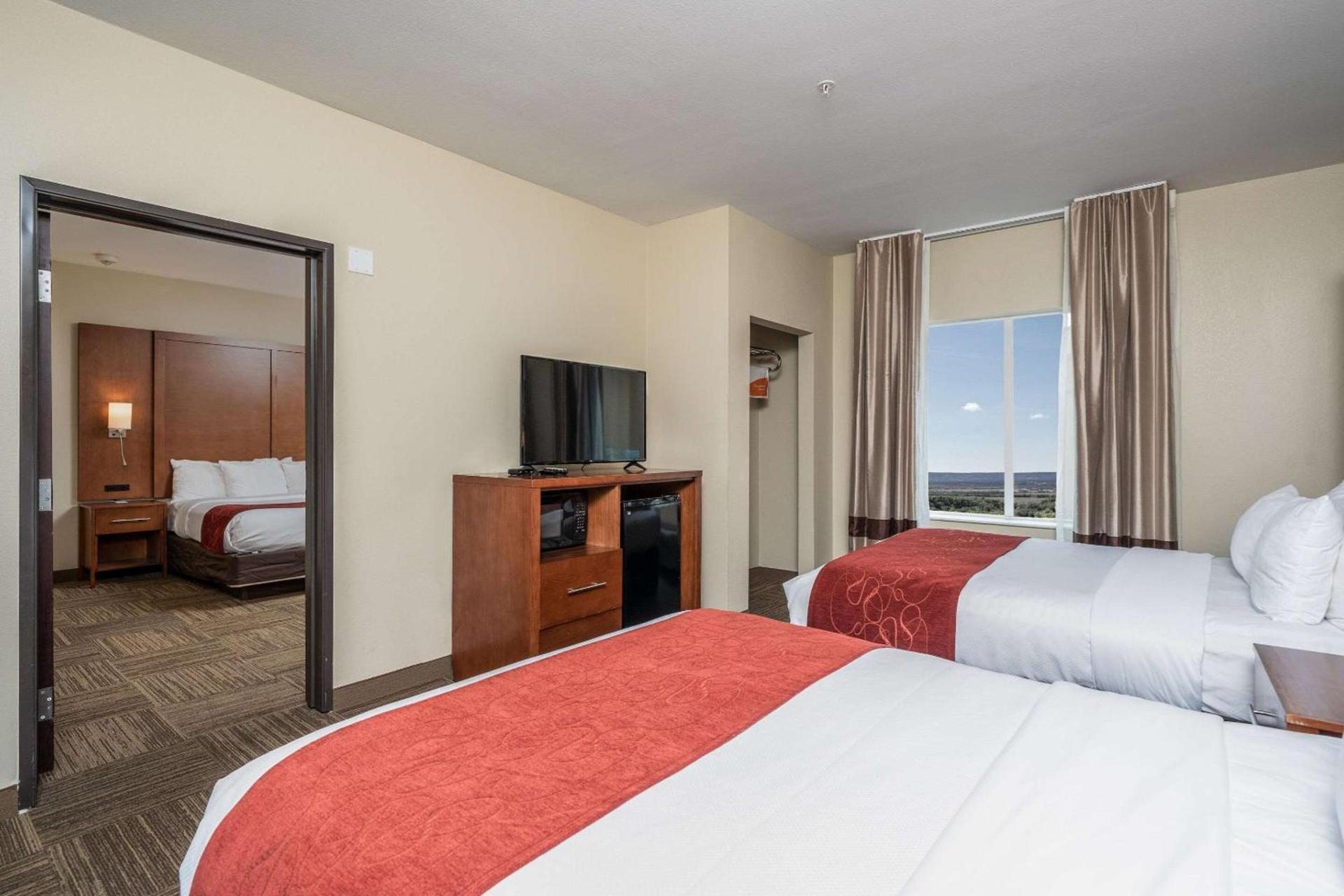 Comfort Suites University photo 30