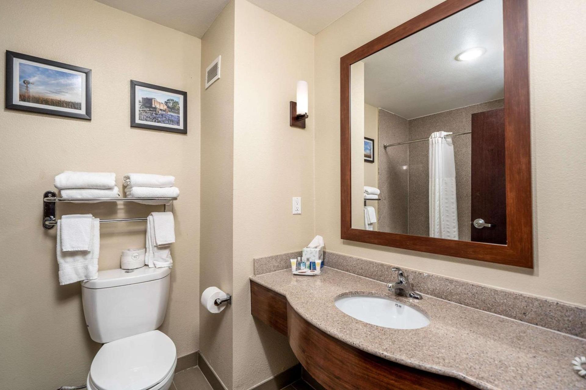 Comfort Suites University photo 33