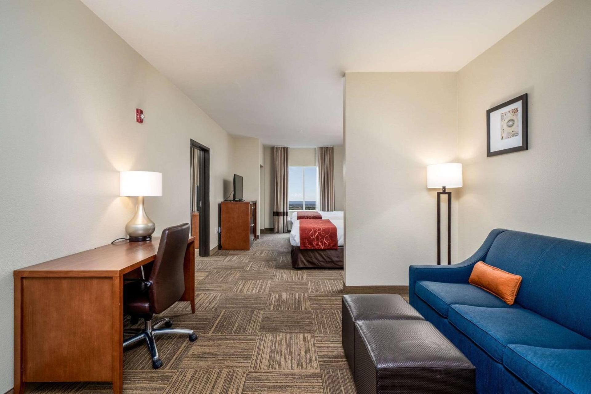 Comfort Suites University photo 32