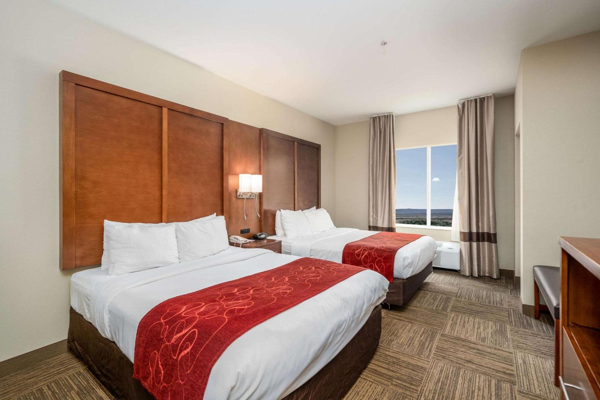 Comfort Suites University photo 34