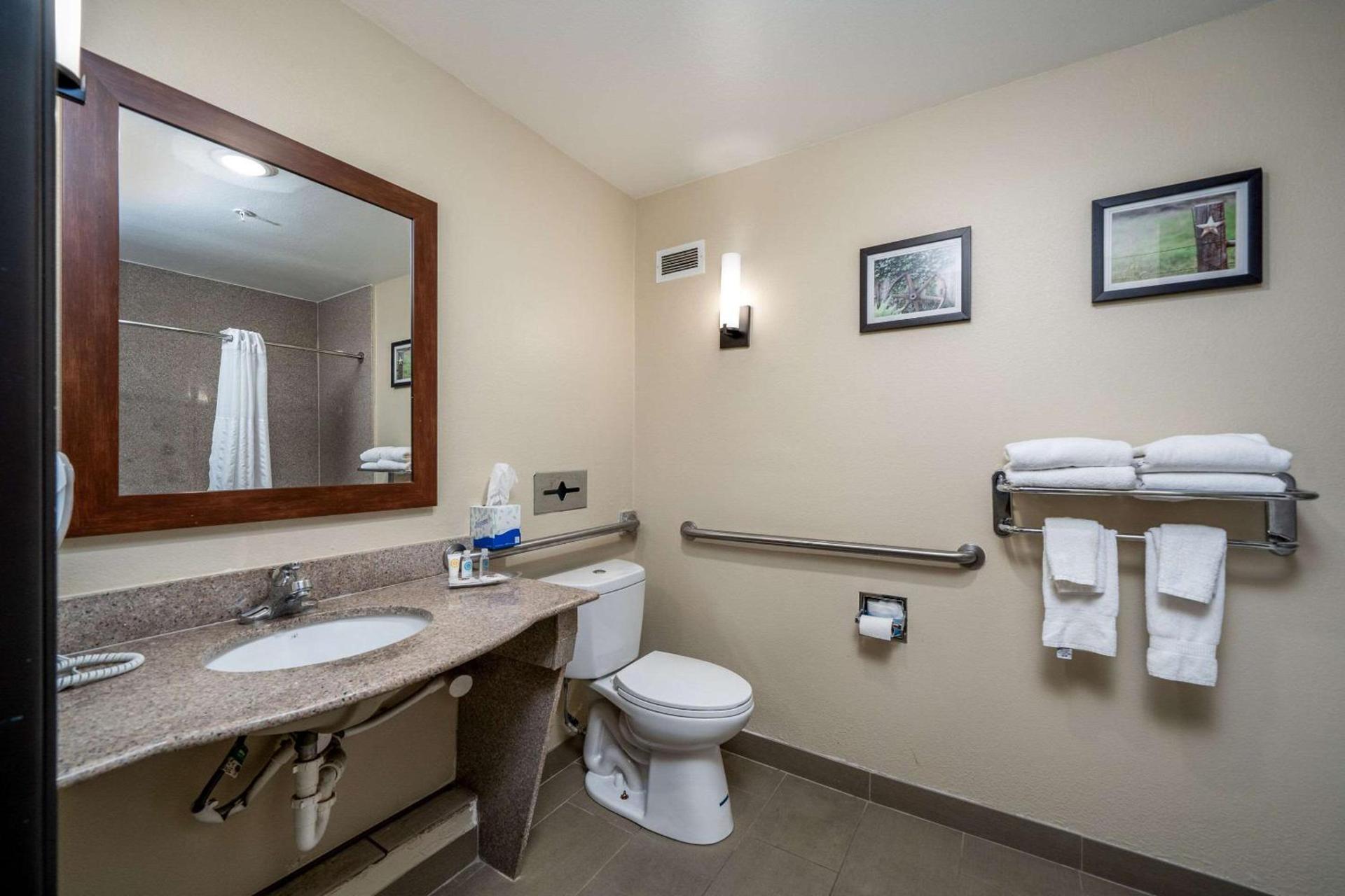 Comfort Suites University photo 37