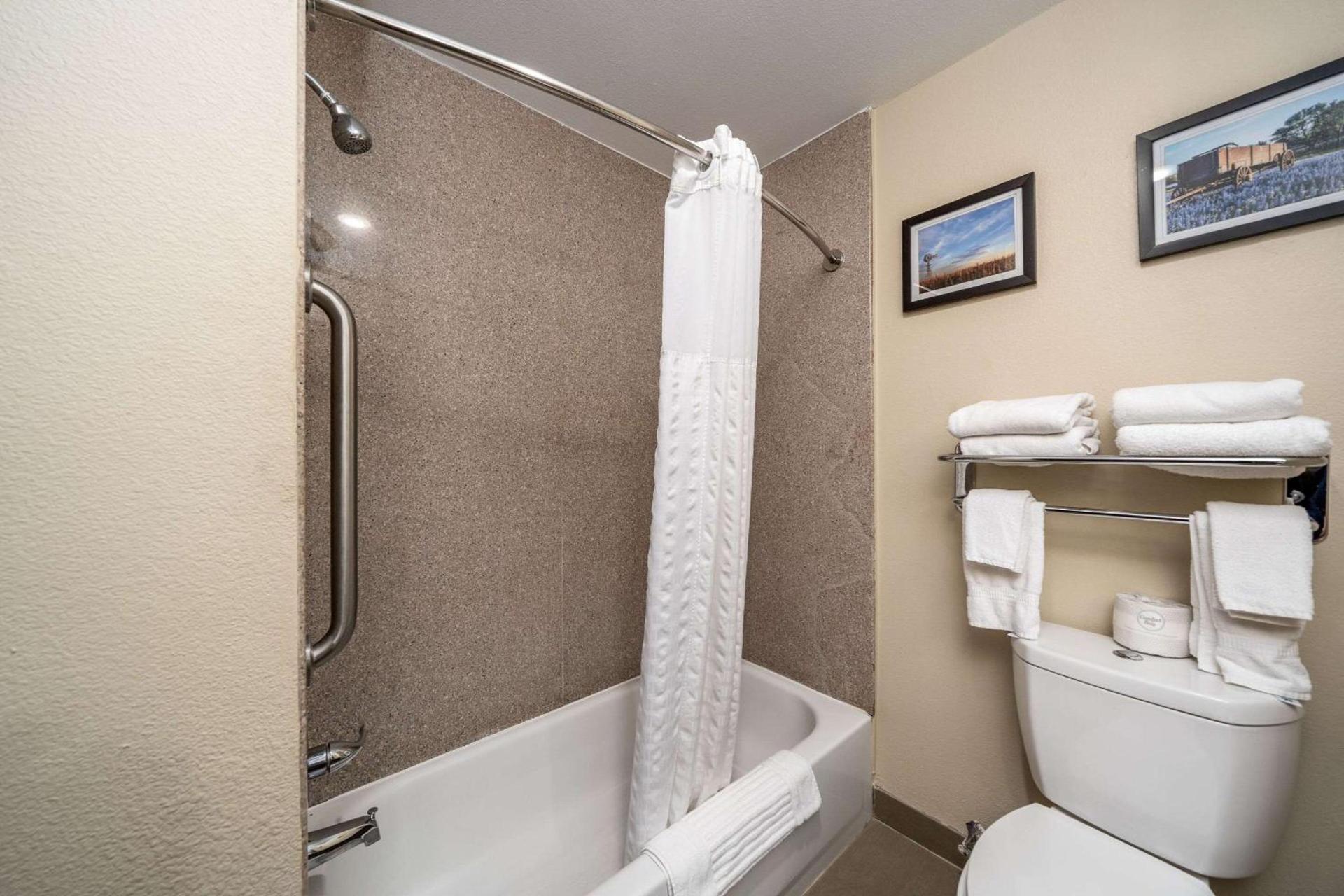 Comfort Suites University photo 40