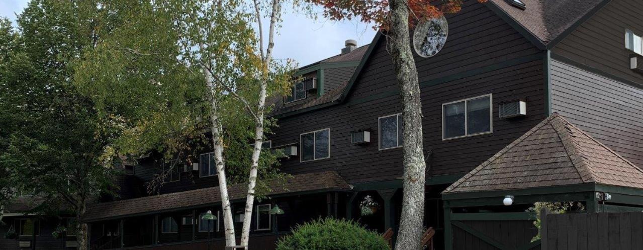 Snowy Owl Inn photo 68