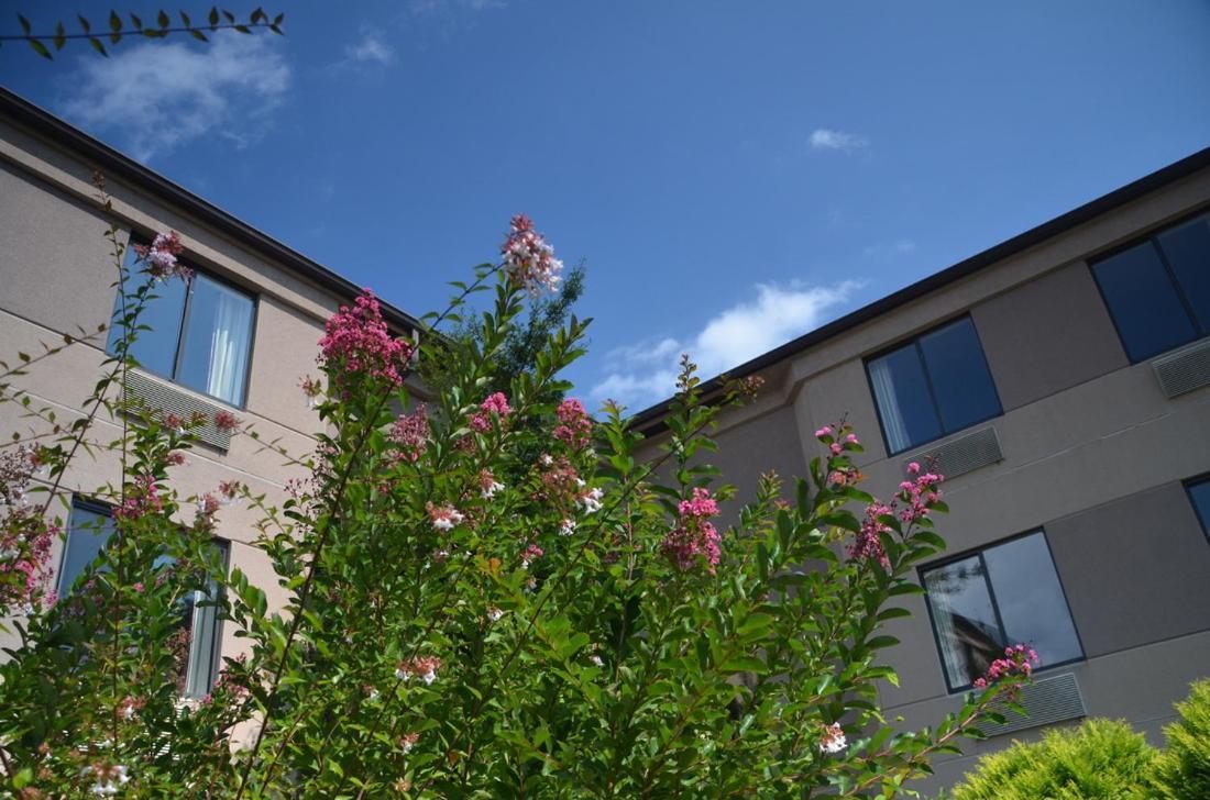 Smoky Mountain Inn & Suites photo 11