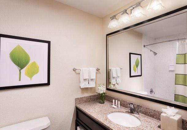 The Querque Hotel photo 6