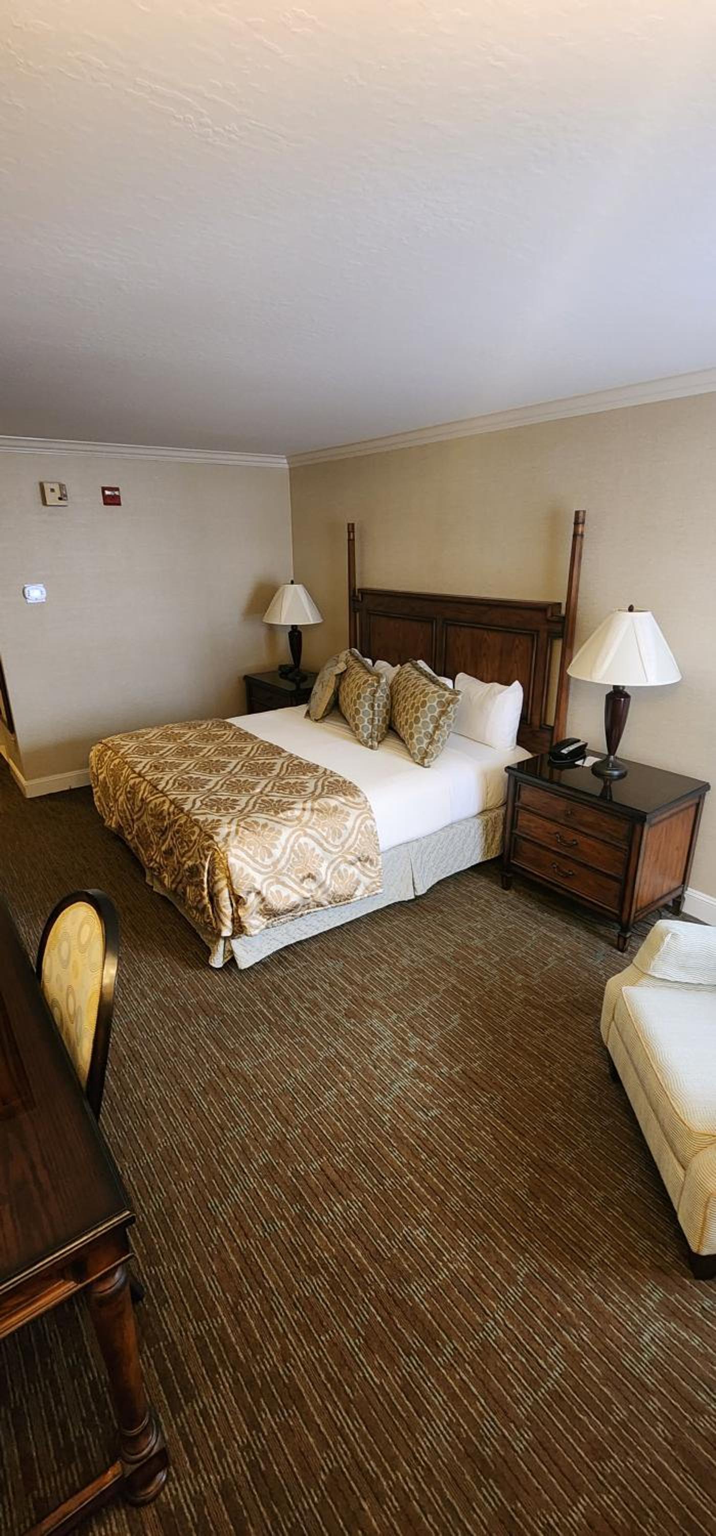 Chelsea Inn photo 27
