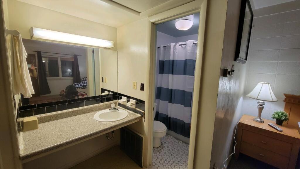Sussex Motel photo 6