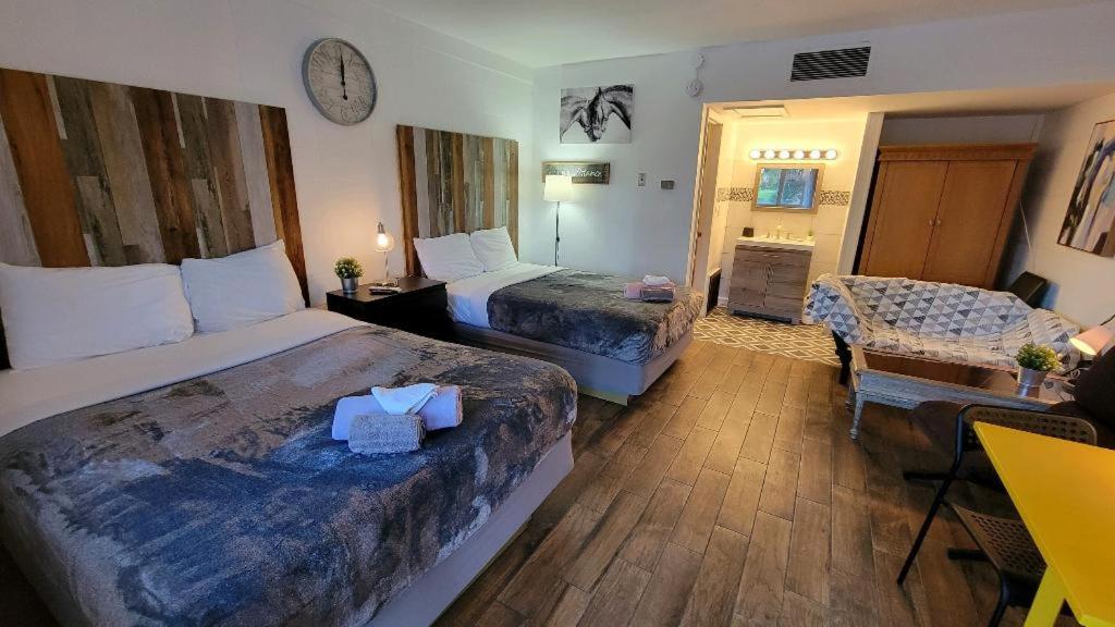 Sussex Motel photo 67
