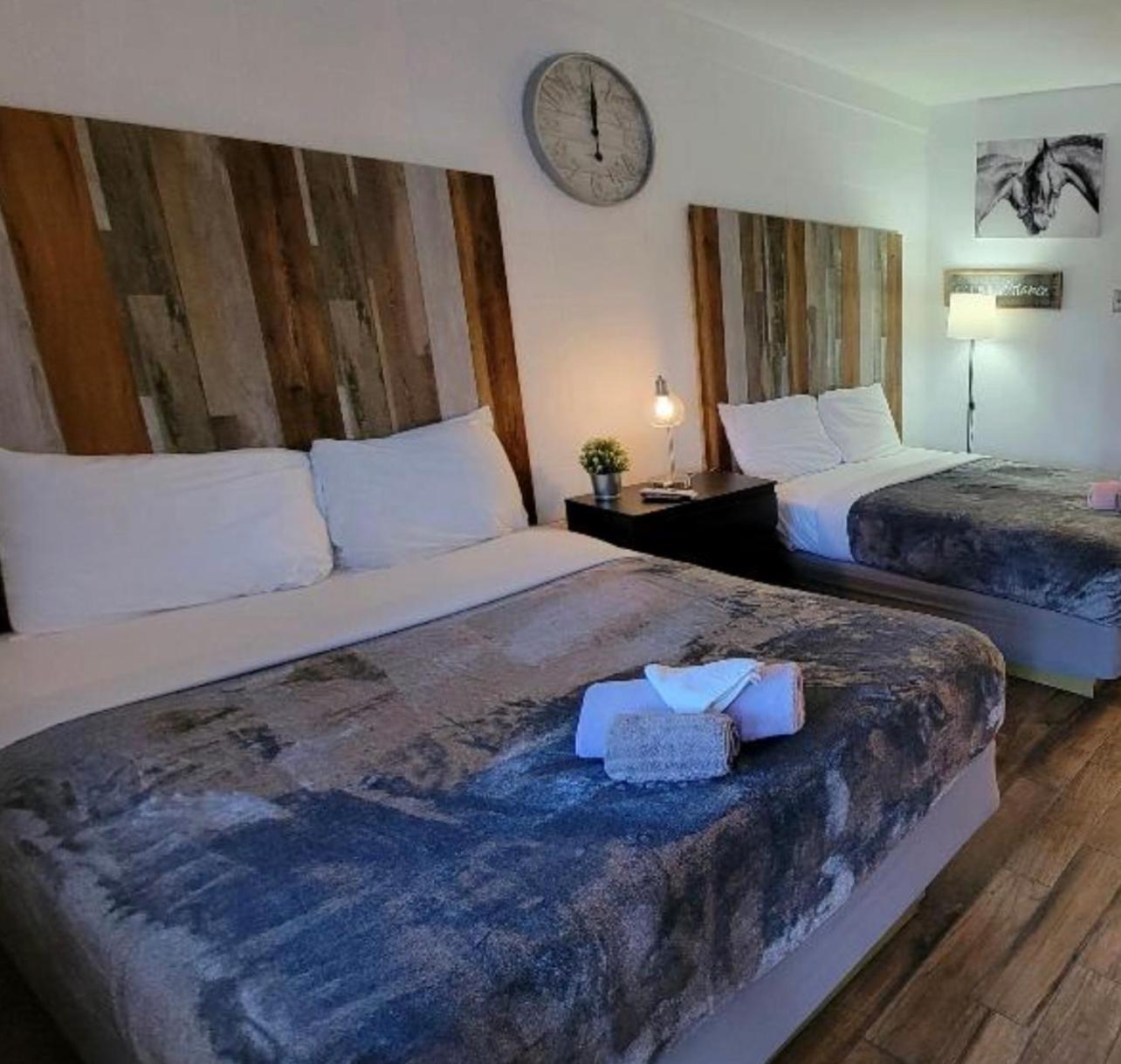 Sussex Motel photo 70