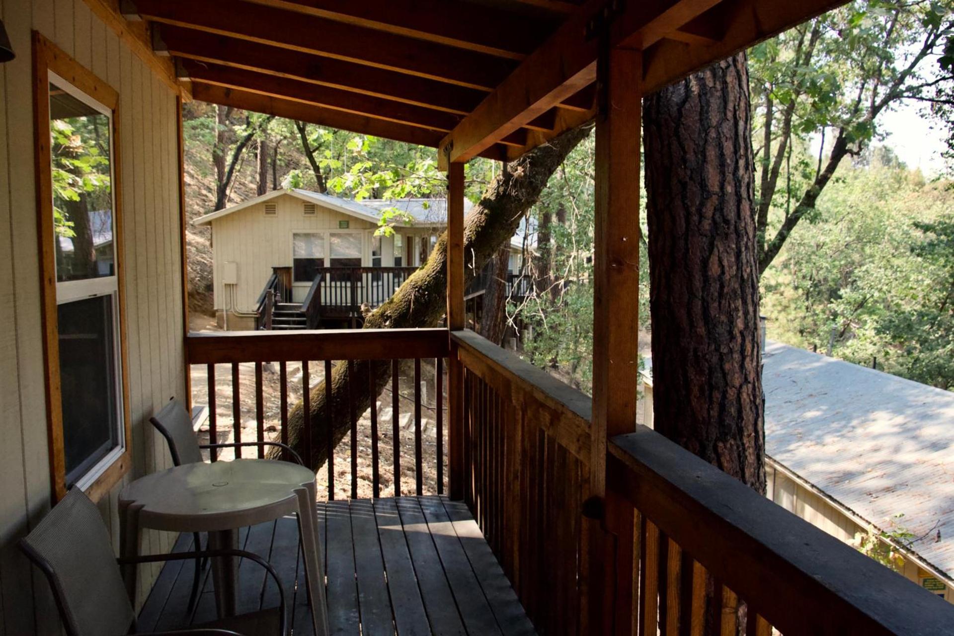 Yosemite Bug Rustic Mountain Resort photo 4