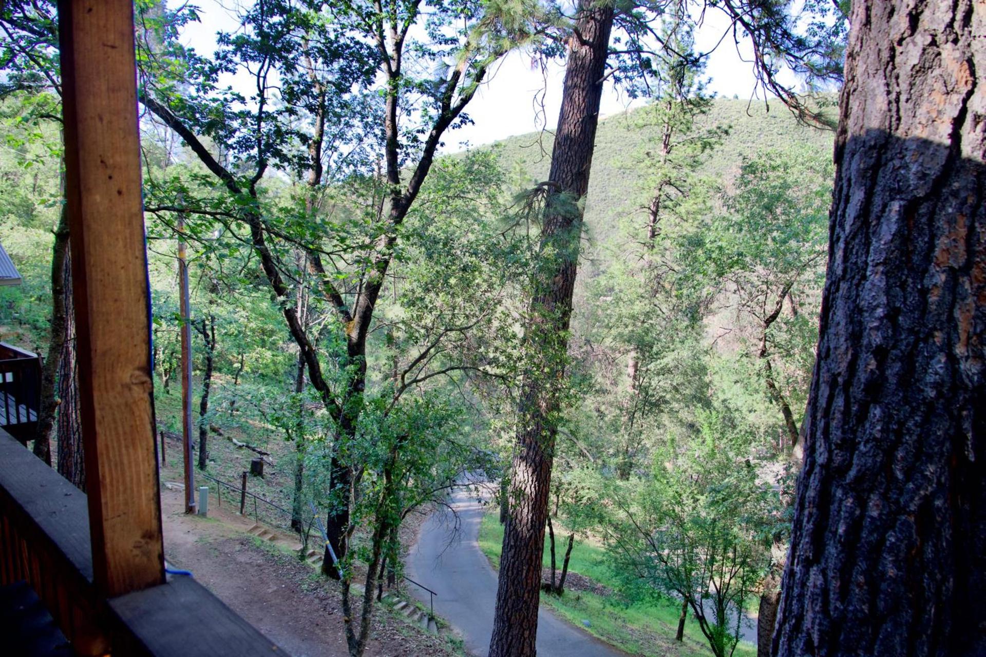 Yosemite Bug Rustic Mountain Resort photo 9