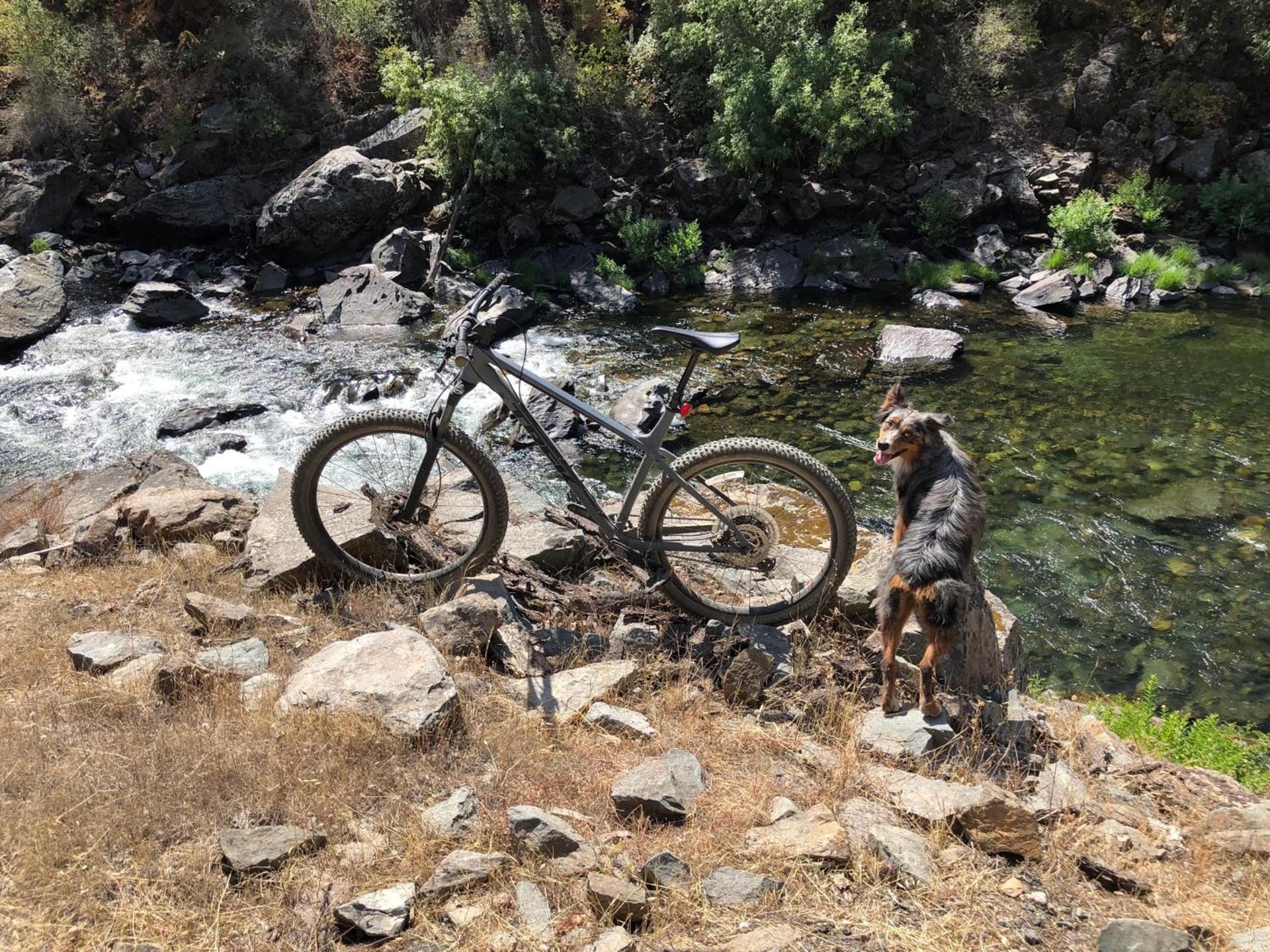 Yosemite Bug Rustic Mountain Resort photo 16